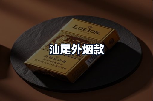 汕尾外烟款